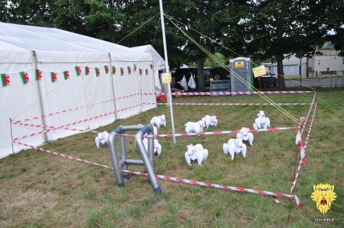 2013_National_Rally10